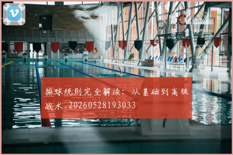 排球规则完全解读：从基础到高级战术_20260528193033