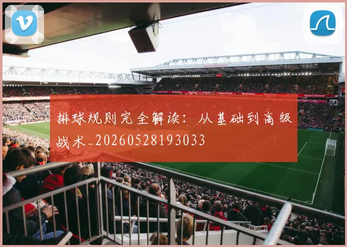 排球规则完全解读：从基础到高级战术_20260528193033